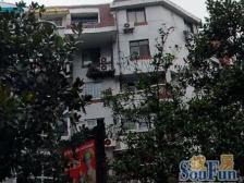 宝石公寓 1室1厅 南 北