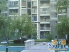 莘庄南,品质小区,名都四期,电梯高区视野美丽,随看