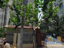 东欣小区 2室0厅 南 东 东南