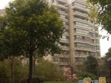 曹家渡·瀚林**·1室·1厅