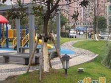 近地铁 电梯房,产权清晰,精装,急售房源