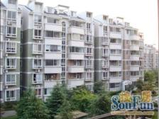 中心位置电梯高区 户型超正气 大两室 空间感十足