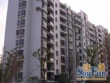 电梯房,中间楼层,新上房源