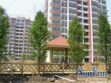 五洲新上好房,精装拎包住,有地暖,南北通户型