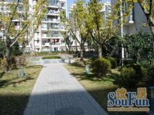 电梯房 无抵押,新上房源