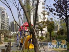 五洲云景花苑 2室2厅 南 北