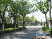 二期合院,地下车库可停两辆车,精装修拎包入住
