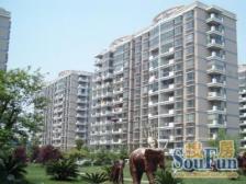 M5V1有输包buff中间位置两房单价绝绝子