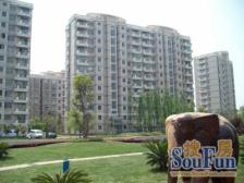 小区中间位置的精品两房,比较安静空气质量好