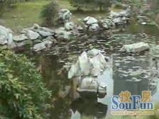 稀 缺飞机户型小三房+豪华精装修拧包入+零税费