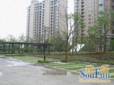 御桥地杰3+1房,飞机户型,视野开阔,中间楼层