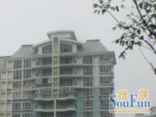 三xin刚需房 百米栋距 小区自带公园 密度0.8