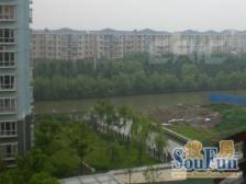 三xin刚需房 百米栋距 小区自带公园 密度0.8