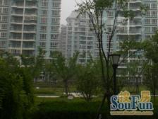 三xin刚需一房 临河位置 视野好