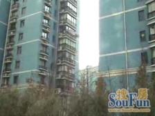 地段佳,有产权车位,停车方便,单价低,户型好