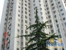 徐家汇万体馆地铁口大三房 +配套实施齐全+诚意出售