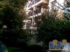 董家渡金融城边上、老干部小区、环境优美、位置安静