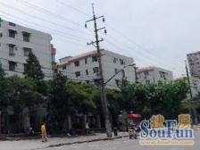 叁楼 约看 精装修 拎包入住 全明户型