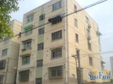 莘城苑 04年房龄 精装修 南北通透 全明户型 拎包入住诚售