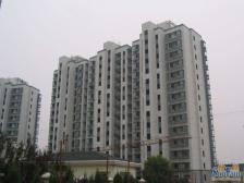 近地铁 现场实勘 随时看房 产权清晰 店长力推