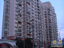 菊园新出景观三房,全南户型,可以看三件套,看花园