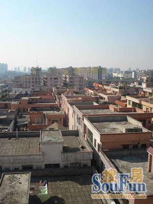高峰楼
