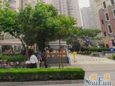 碧云挂户口,1至9可用,电梯高区,看房方便