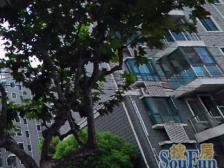 品质小区,靠近花园,诚意出售,精装好房