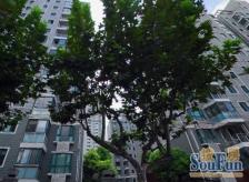 三房大开间,飞机户型,一梯二户房东诚意出售