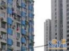聚焦好房:高区景观+户型方正+采光充足+精装修可拎包