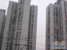 高区景观视野好 方正全明无遮挡 干净整洁拎包入住