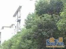 鞍山·双辽新村·1室·1厅