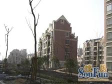 次新花园洋房 南临河 满五税少 采光视野好