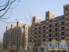 英伦好房,南面无遮挡,视野采光均属上层