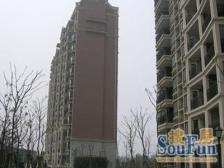 现场实勘,无抵押 电梯房,必看好房