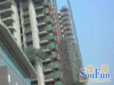 近地铁 电梯房 满五,无抵押,必看好房