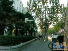 曹杨·五星公寓·2室·2厅