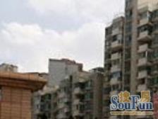 店长推荐:8号线地铁口,双南电梯房,诚意出售