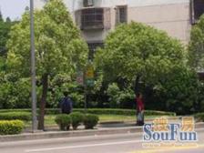 房型正气,居家装修,小区中心位置,主卧朝南