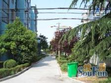 一梯两户中间楼层,业主诚心出售。