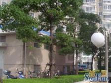 品质小区,环境优美,居家装修,诚意出售