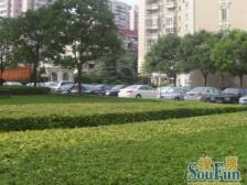 燕宁苑 3室3厅 南 北