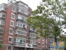 新逸仙公寓 2室1厅 南