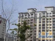 中间楼层 无抵押,随时看房,新上房源