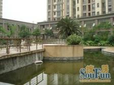 无抵押 电梯房,随时看房,新上房源