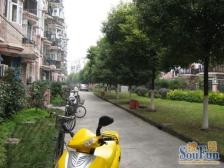 金泽苑 3室2厅1卫 南北 精装