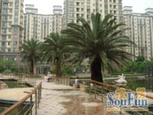 2梯8户 无抵押,满五 新上房源