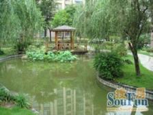 精装修拎包入住 全明户型 采光好