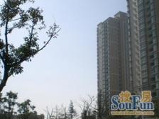 小区花园C位+高楼层视野开阔+地下车位