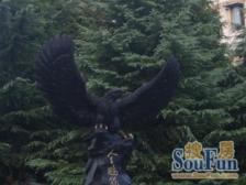 金桥·金鹏苑·1室·1厅